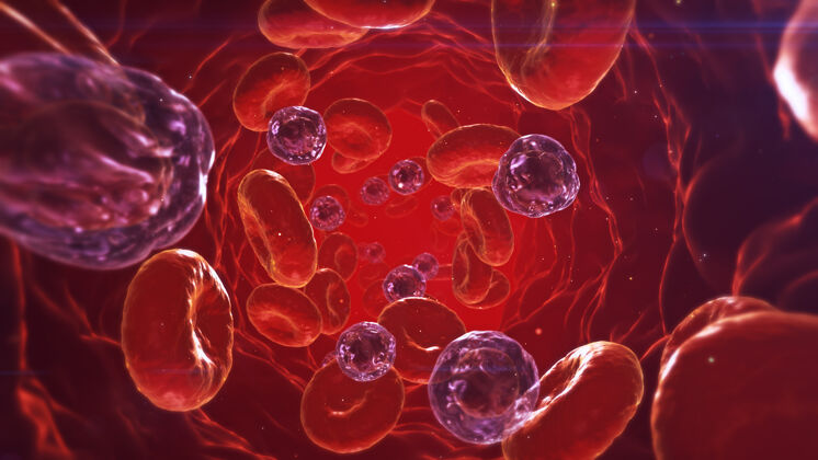 心脏病学健康和微生物领域的广告和墙纸的三维插图背景装饰概念的三维渲染研究科学血管
