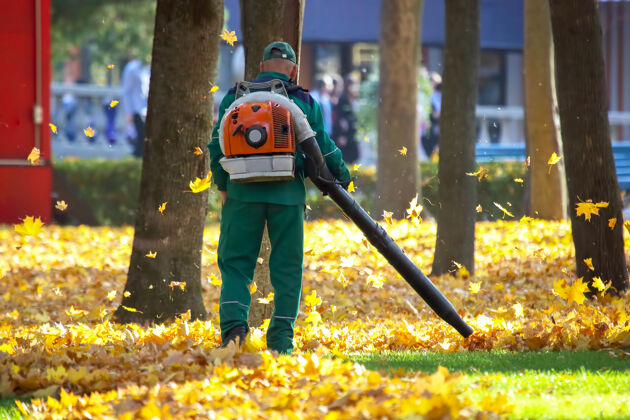 活动在公园里干活 用吹风机刮秋叶清洁工具工作