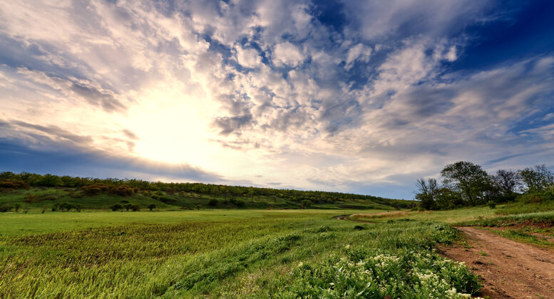 路径绿色的草地 蓝天下的小路 阳光下的云彩宽阔风景透视