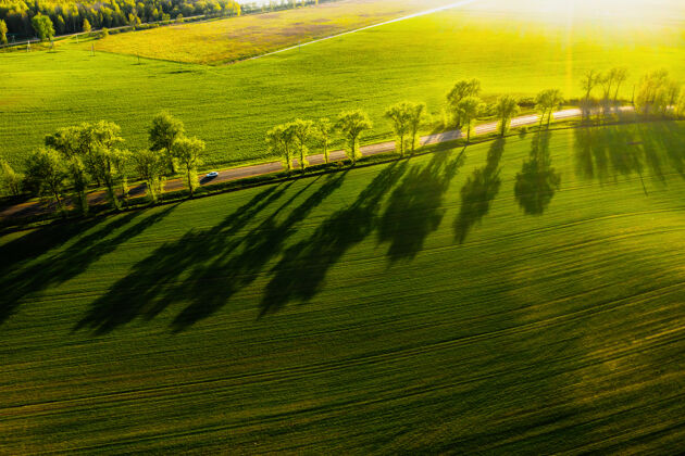 运动鸟瞰公园里的绿地和道路欧洲.自然的白俄罗斯.own日落时的绿野和道路草地活跃健康