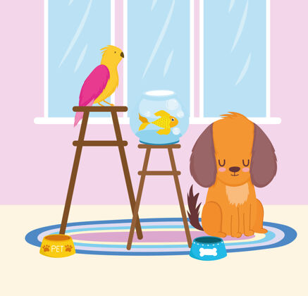 狗宠物店鹦鹉和鱼在椅子上与狗和食物矢量插图狗动物食物