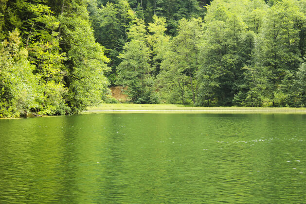 野生动物佐治亚州山区的巴特提湖 哈雷利森林 绿色 日落和水面上的倒影山地景观风景季节