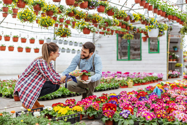 雇员两个微笑的企业家蹲在温室里插花工作爱好花店