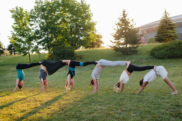 微笑日落时分 一群人在公园里做瑜伽自然健身公园