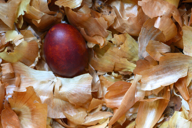 背景复活节彩蛋洋葱果壳着色鸡蛋按照古老的自然环保方法去皮洋葱生态染色颜色