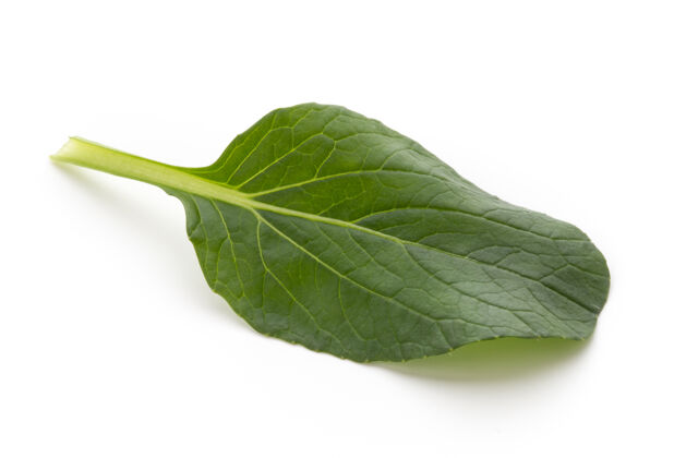 有机菠菜的叶子被隔离在白色上火箭健康蔬菜