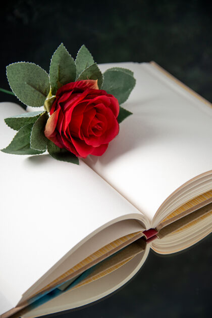 花在黑暗中打開書本看到紅花的前視圖花玫瑰花瓣