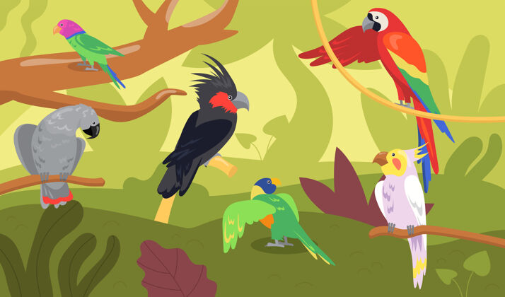 鸟不同种类的鹦鹉在森林或丛林中野生热带鸟类 异国情调的五彩ara 金刚鹦鹉平面卡通插图阿罗哈森林动物