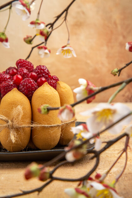 水果在混合色背景的右侧有水果的礼品蛋糕的垂直视图混合柑橘新鲜