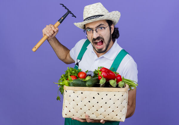 愤怒年轻的留着胡子的园丁 穿着连体衣 戴着帽子 手里拿着装满蔬菜的箱子 在蓝色的墙上摆着一个小耙子 愤怒的脸站着帽子姿势人