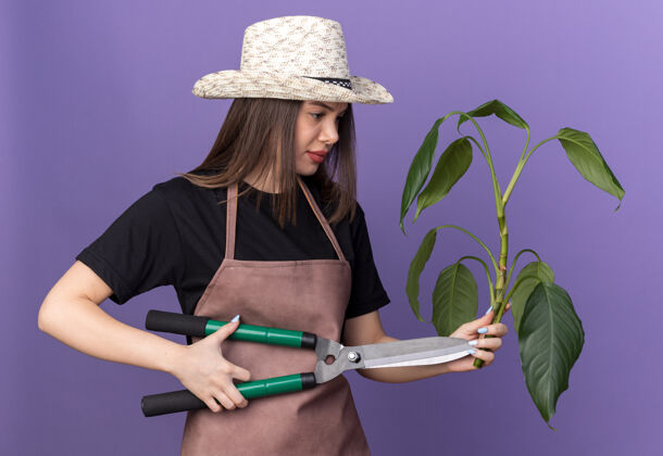 女的漂亮的白人女园丁戴着园艺帽拿着园艺剪刀和紫色的植物枝讨厌树枝漂亮