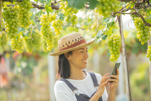 年轻人女园丁用手机为她的葡萄点菜葡萄举行平板电脑