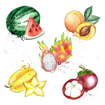 水彩画手绘水彩画水果系列美味水果套装食品