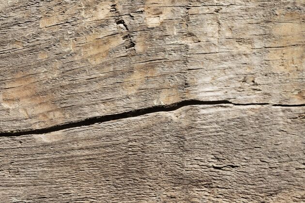 表面特写木材纹理背景背景木头背景木头