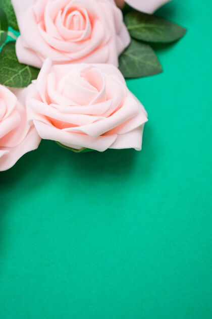 花瓣垂直特写镜头粉红色玫瑰隔离在一个绿色的背景与复制空间玫瑰垂直叶子