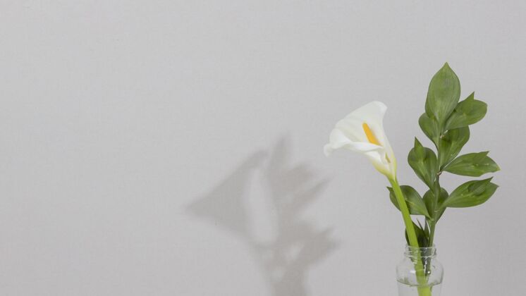 叶桌上花瓶里的花特写花花