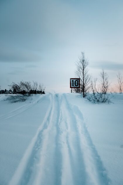 速度在积雪覆盖的道路上垂直拍摄限速标志限制树街道