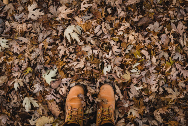 颜色地上棕色靴子和树叶的俯视图公园树枝新鲜