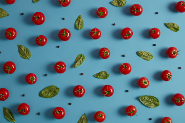 背景新鲜的有机红色西红柿 胡椒和罗勒叶在蓝色背景上蔬菜收获用于制作沙拉健康饮食和维生素概念水平拍摄 俯视图美味的天然食物烹饪作物叶子