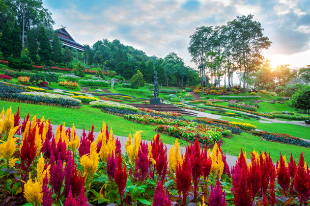 岩石花园花卉 梅法琅花园位于泰国清莱的doitung开花泰国设计