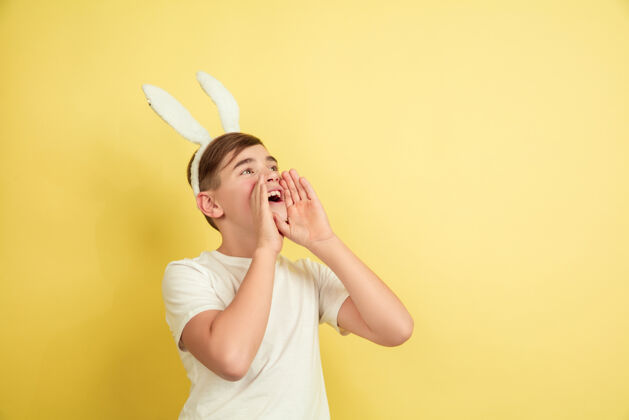 青少年男孩像复活节兔子在黄色的工作室墙上坚强狩猎春天