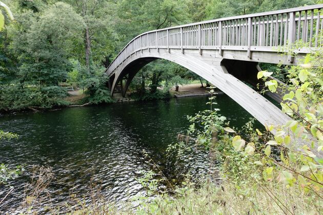 河流在公园里的河上架桥公园光水