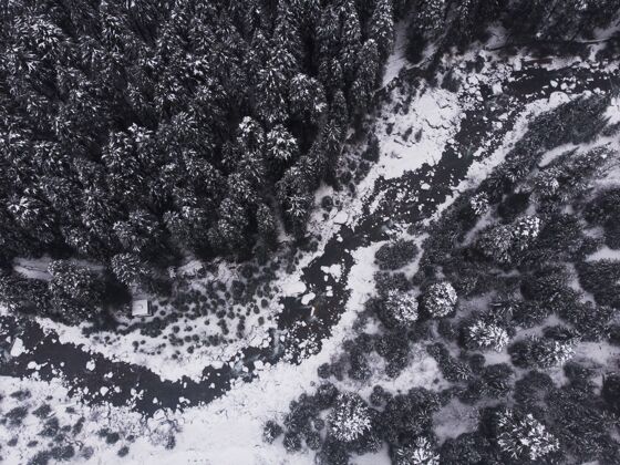 冷杉空中拍摄森林里美丽的雪松环境松树雪