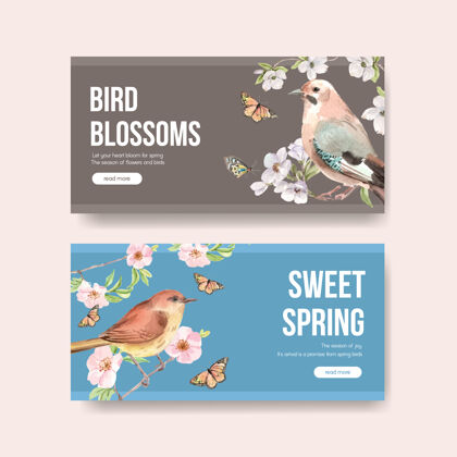 模板为社会媒体和社区水彩插画与春天和鸟的概念设计模板花卉动物社会媒体