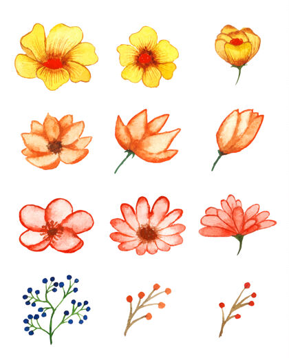收集手工水彩花卉艺术套装可爱设置墨水