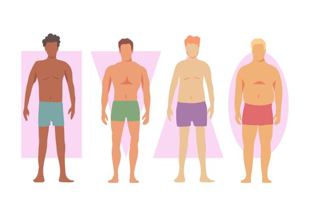 姿势不同类型的男性体型各种形状解剖学