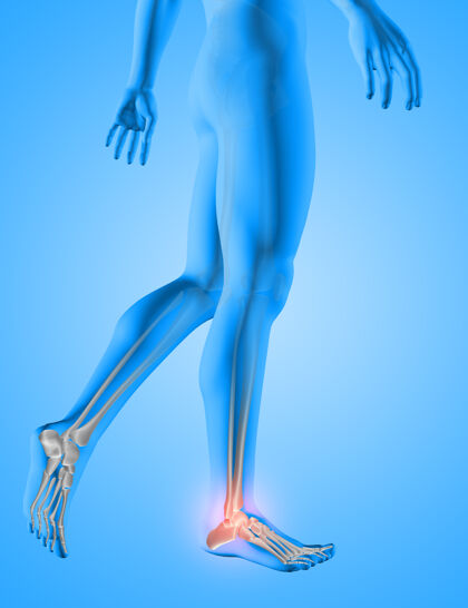 感染三维渲染的男性医学数字与脚骨骼突出显示生命力身体生物学