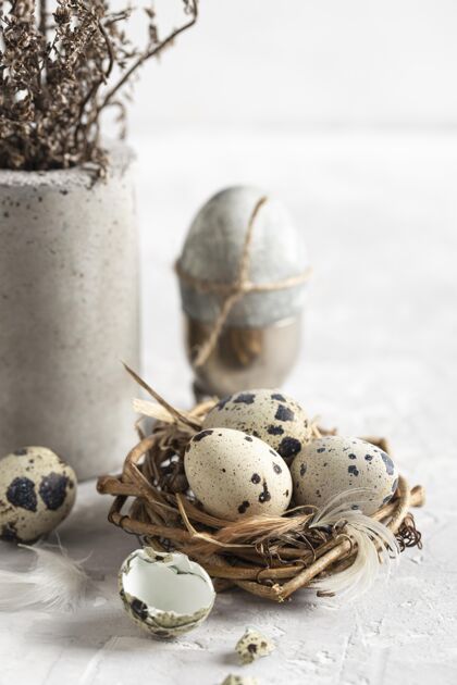 假日高角度的复活节彩蛋在树枝上用花瓶筑巢树枝教复活节