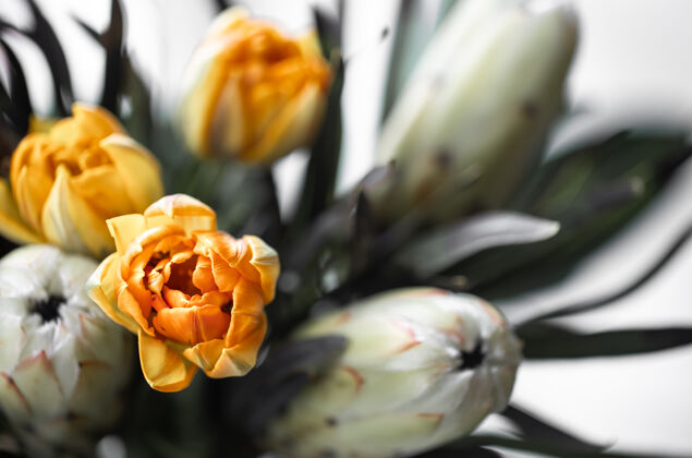 花卉一束奇异的皇家变形木和明亮的郁金香花热带植物组成异国情调成分热带