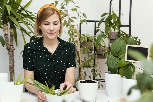 植物中等身材的女人在室内园艺生长室内植物房子