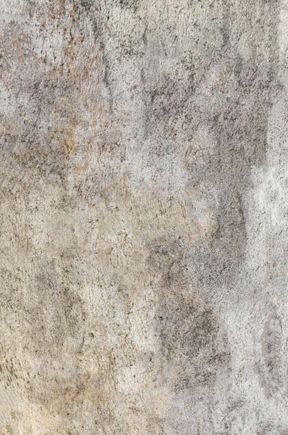 抽象树皮表面正视图纹理木材树皮