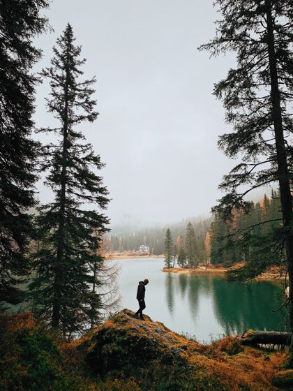 风景雾天 一个男人在湖边的树林里散步的剪影山颜色松树