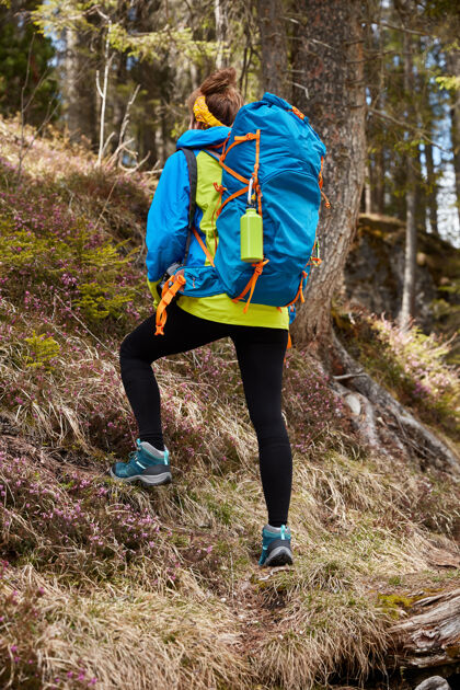 山女旅行者的照片克服上山 在森林里跋涉 背着蓝色的大背包 迈步健康远足者岩石