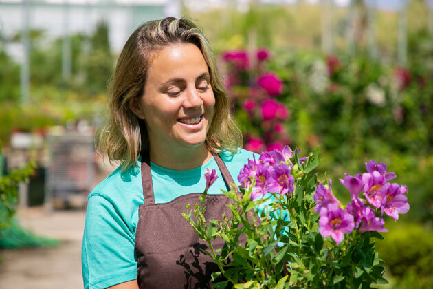 肖像快乐的女花匠站在温室里 捧着盆栽 看着紫色的花朵 微笑着专业的肖像 复制空间园艺工作或植物学概念中拍摄博览会