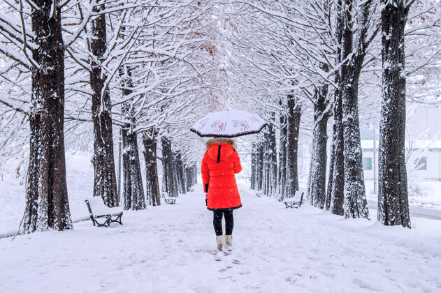 孤独带着伞的女孩走在小路上 划着树冬天暴风雪掩护透视