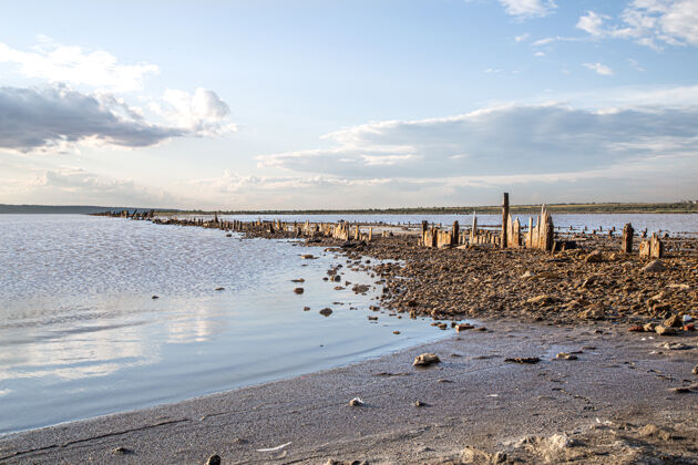 历史一个死湖和古老的盐原木从水里探出天空风景沙滩