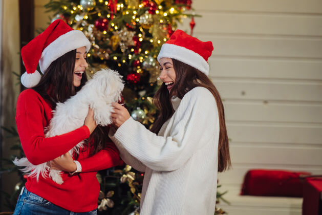 圣诞老人除夕夜 几个女孩在家里和一只小狗玩小狗成人传统
