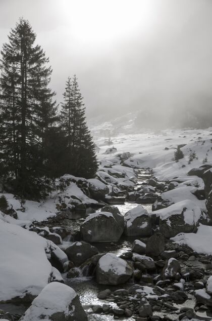 岩石一条白雪覆盖的河流的垂直图像 旁边有许多石头和松树景观雪树
