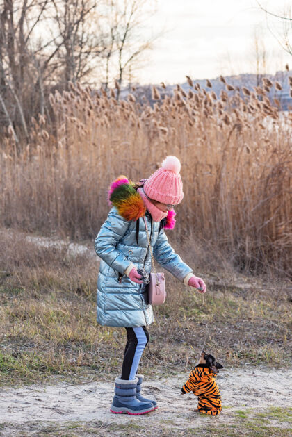 友谊美丽的女孩和吉娃娃在一起少女和吉娃娃在冬天的街上狗年轻美丽冬天