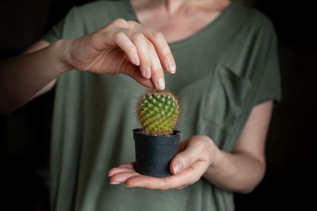刺家庭园艺一个女人把一个小仙人掌放在一个黑罐子里仙人掌绿色刺