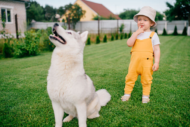 狗一个小男孩在花园里和狗摆姿势衣服可爱孩子