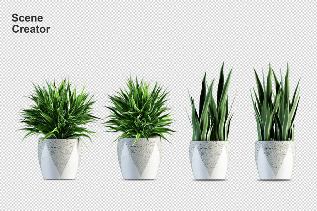 元素盆栽植物在3d渲染隔离叶子植物陶瓷