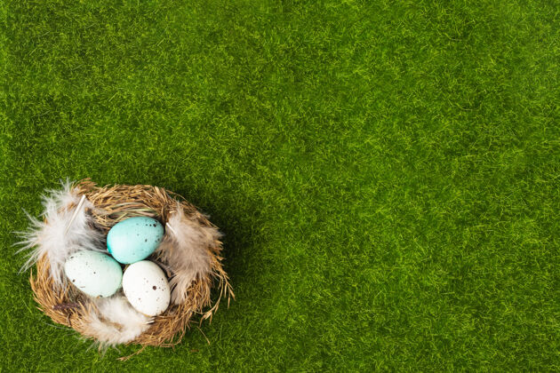 孩子用复活节彩蛋在绿草上筑巢狩猎蛋巢