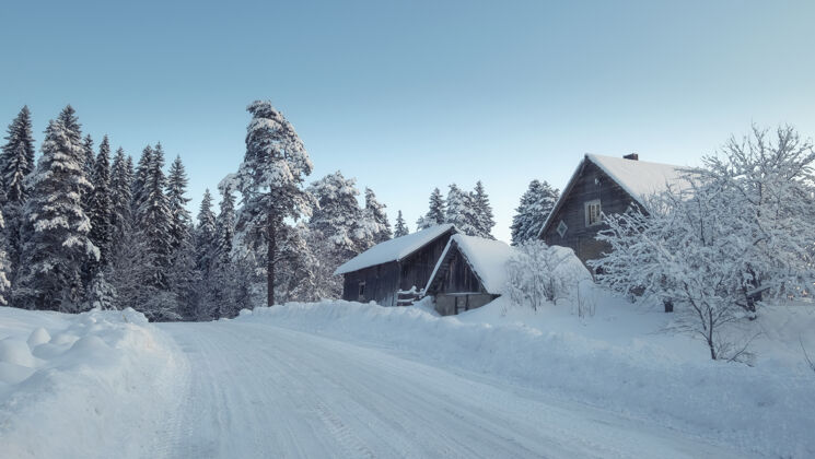 旅行冬天在乡下的泥泞雪路附近的森林里冰冬季道路寒冷