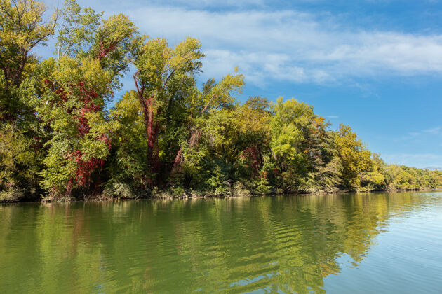 安静秋天的时候河水平静 树叶黄黄的环境树叶木头