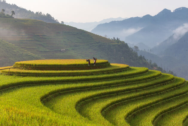 泰国越南北部延贝斋梯田景观农村景观水稻